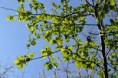 /album/fotogaleria-makro/dsc-0630-jpg/